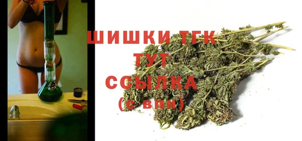 соль ск Елабуга