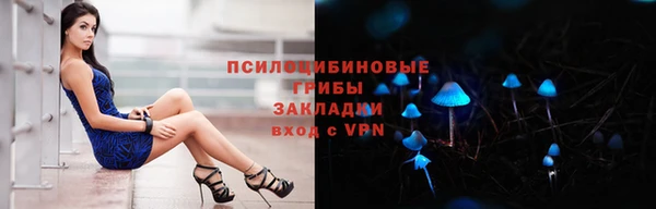 ALPHA PVP Елизово
