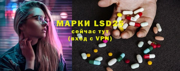 ALPHA PVP Елизово