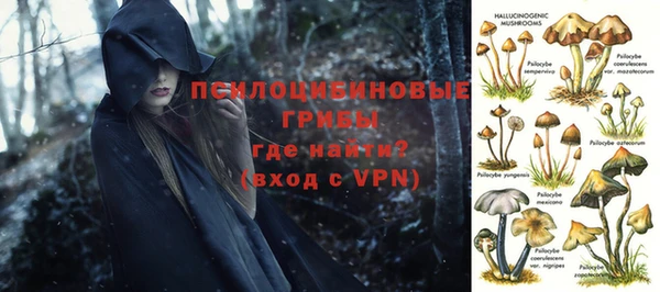 мяу мяу кристалл Ельня