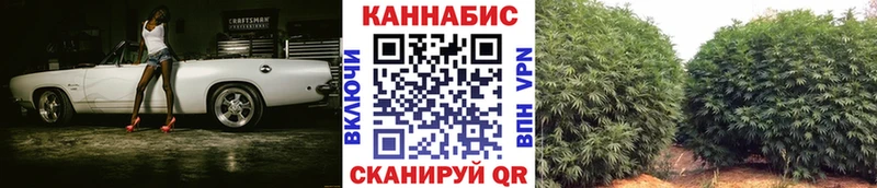 Шишки марихуана план  Купить где  Жирновск 